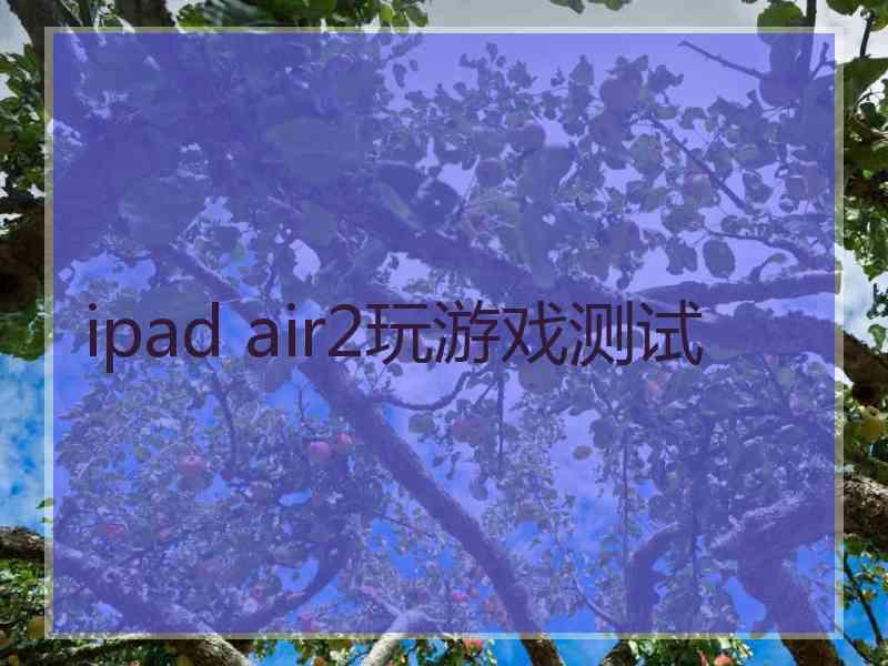 ipad air2玩游戏测试