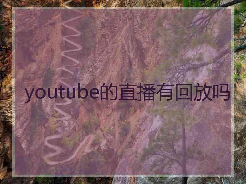 youtube的直播有回放吗