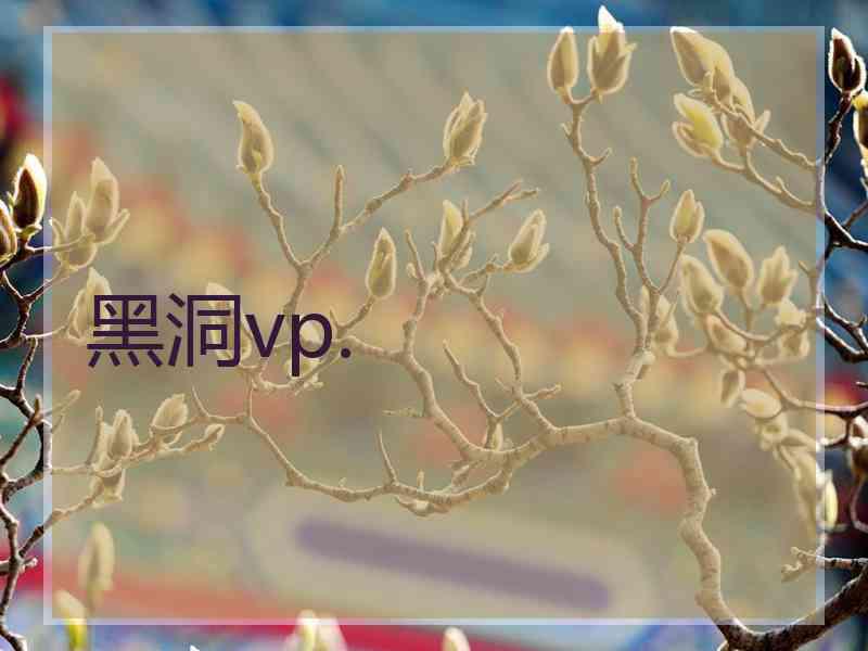 黑洞vp.