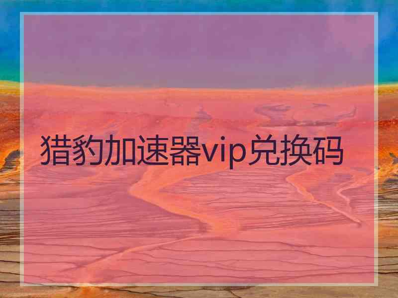 猎豹加速器vip兑换码