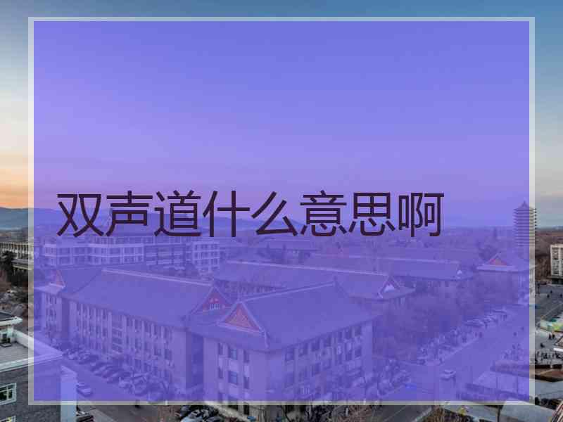 双声道什么意思啊