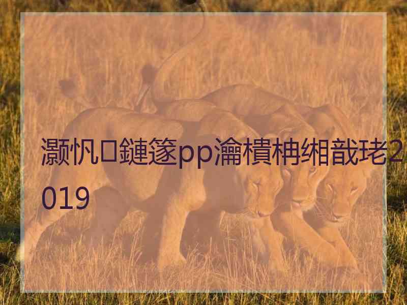 灏忛鏈篴pp瀹樻柟缃戠珯2019