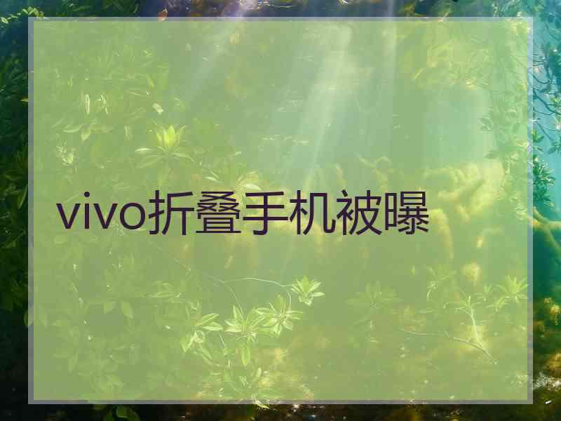 vivo折叠手机被曝