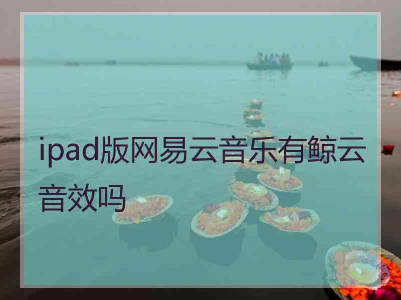 ipad版网易云音乐有鲸云音效吗