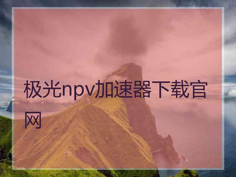 极光npv加速器下载官网