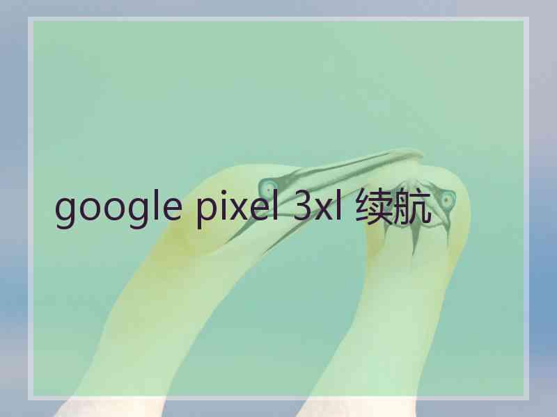 google pixel 3xl 续航