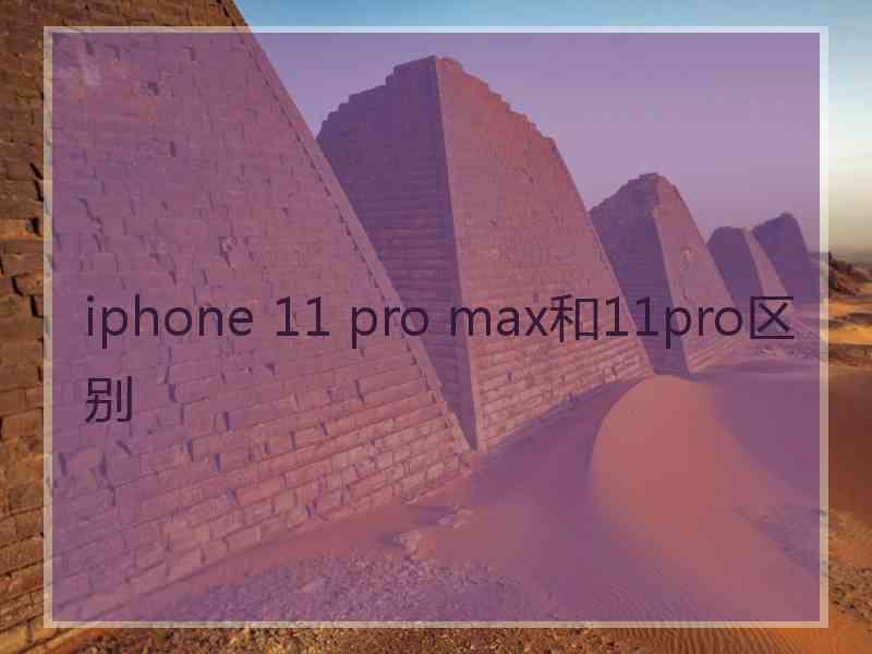 iphone 11 pro max和11pro区别