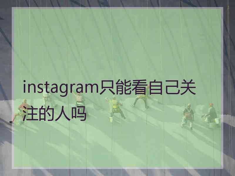 instagram只能看自己关注的人吗