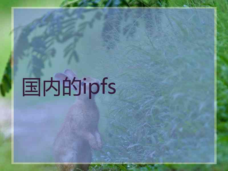 国内的ipfs