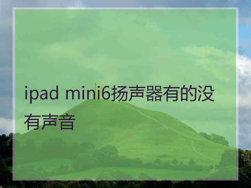 ipad mini6扬声器有的没有声音