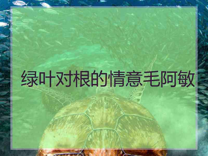 绿叶对根的情意毛阿敏