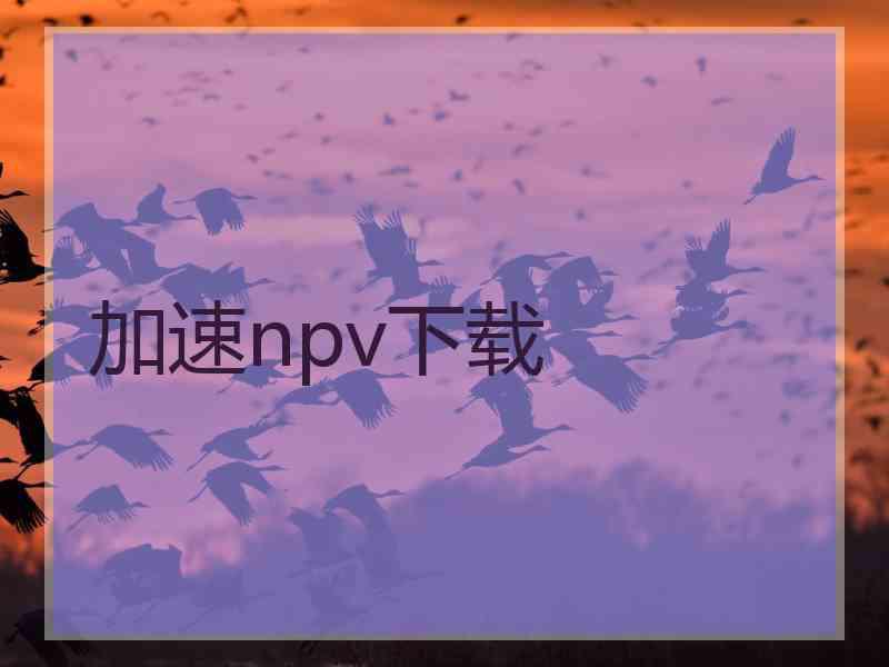 加速npv下载