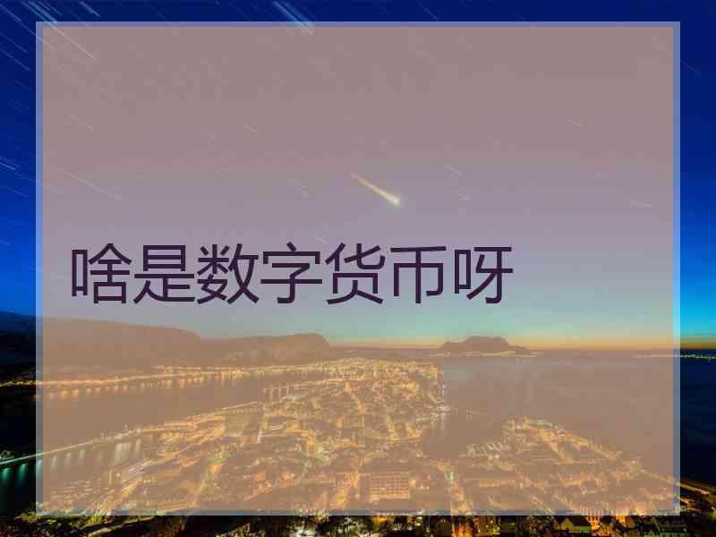 啥是数字货币呀