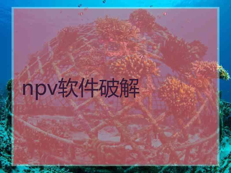 npv软件破解