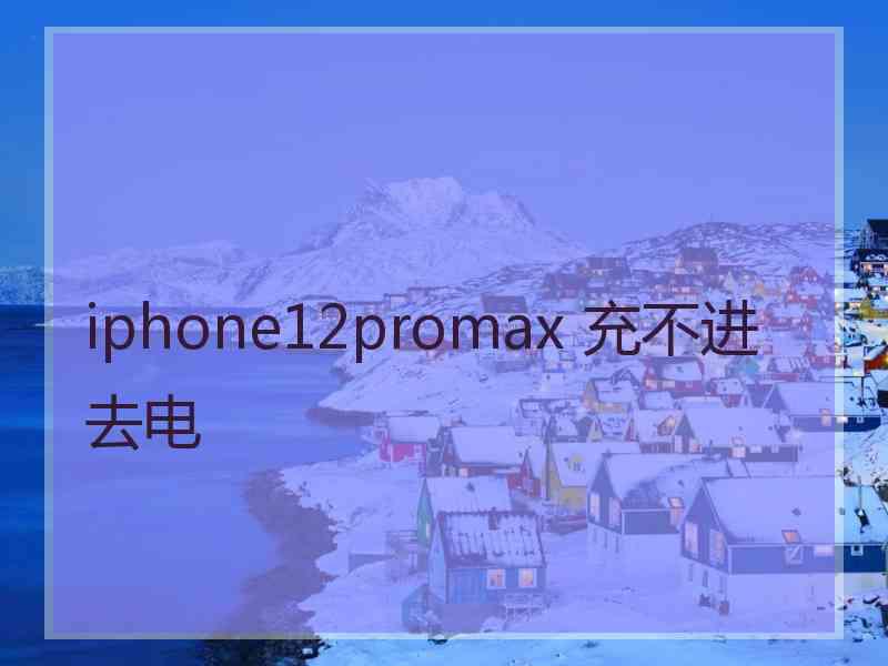 iphone12promax 充不进去电