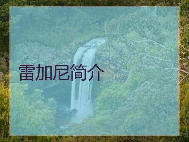 雷加尼简介