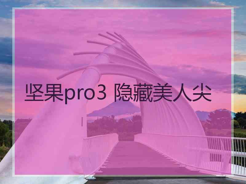 坚果pro3 隐藏美人尖