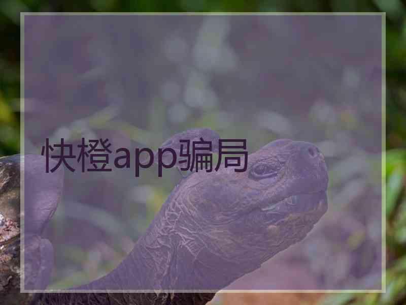 快橙app骗局