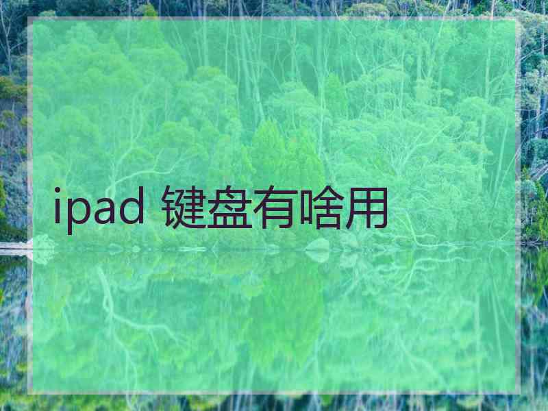 ipad 键盘有啥用