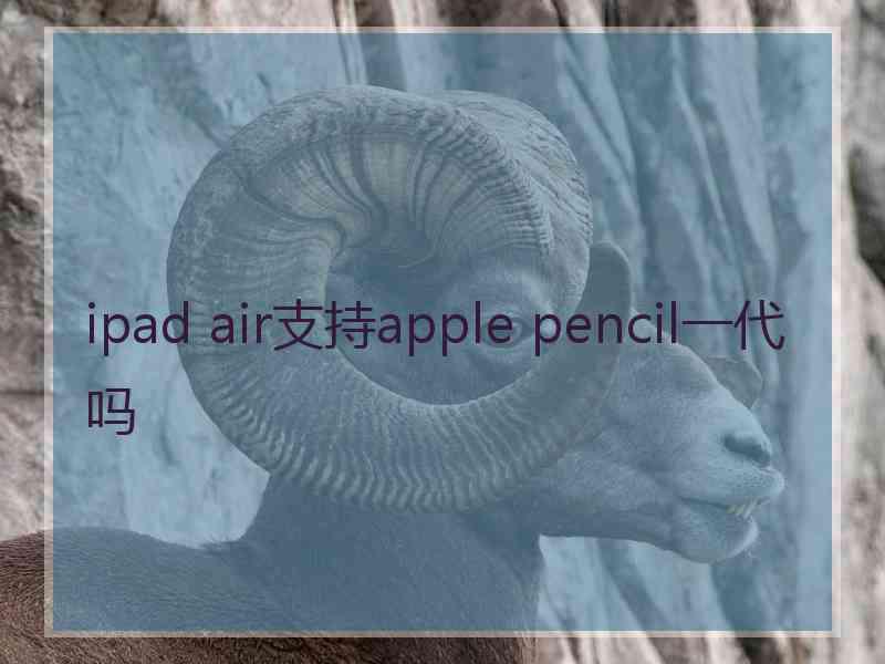 ipad air支持apple pencil一代吗