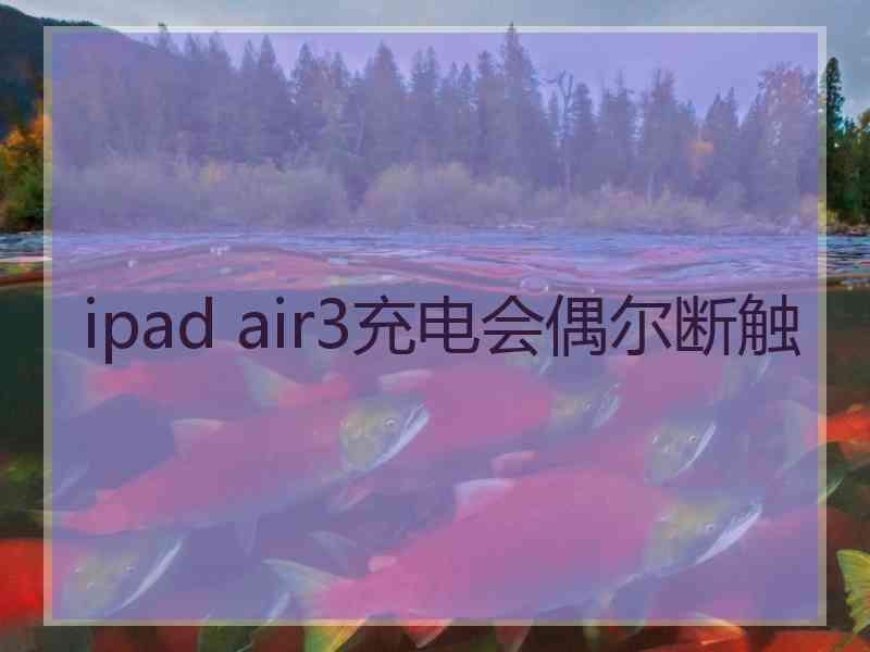 ipad air3充电会偶尔断触