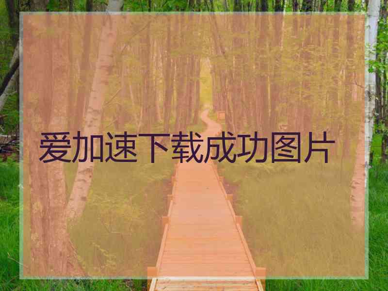 爱加速下载成功图片