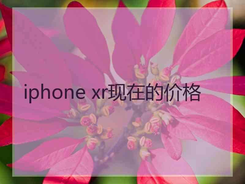 iphone xr现在的价格