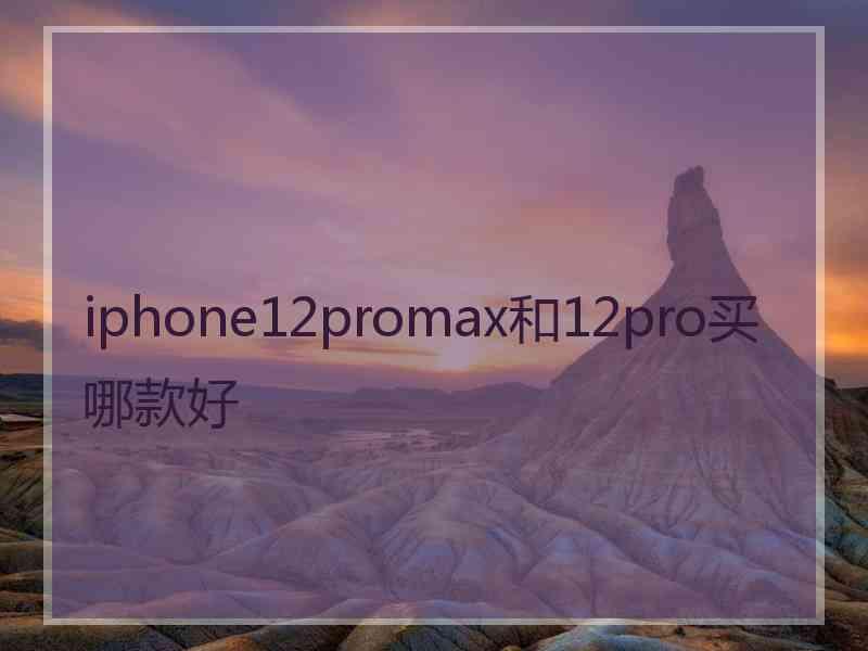 iphone12promax和12pro买哪款好