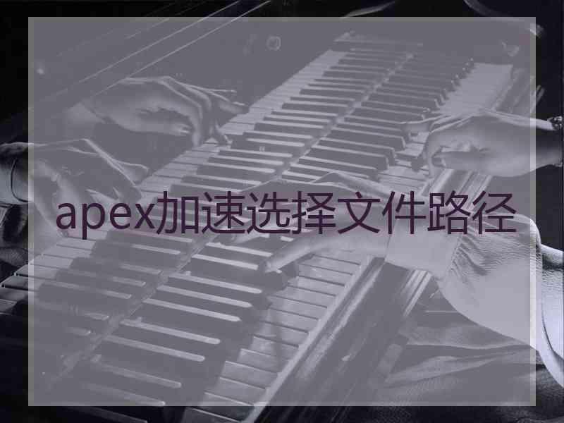 apex加速选择文件路径