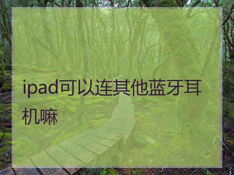 ipad可以连其他蓝牙耳机嘛