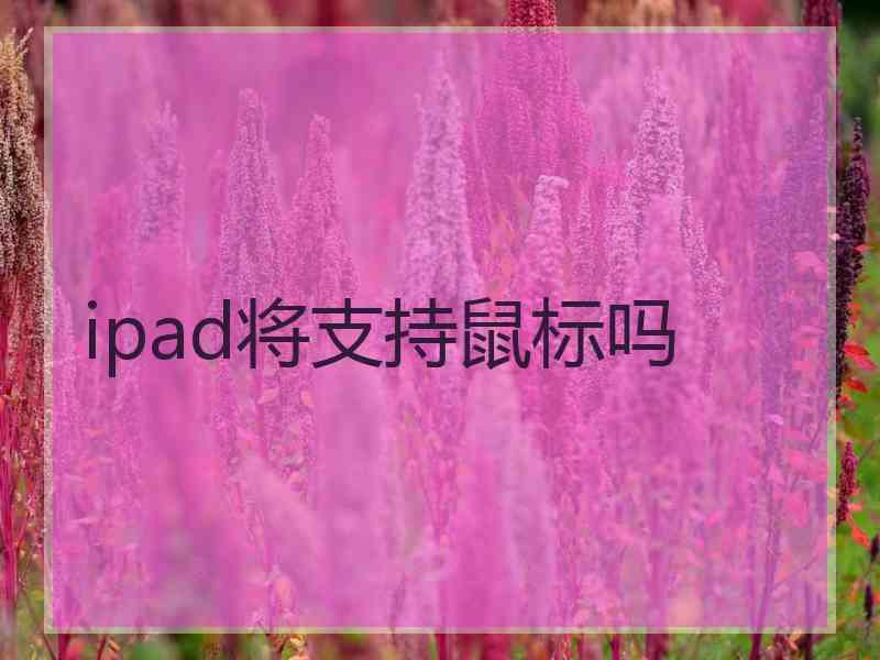 ipad将支持鼠标吗