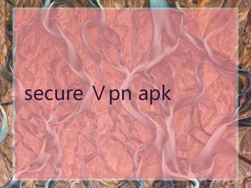 secure Ⅴpn apk