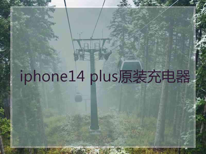 iphone14 plus原装充电器