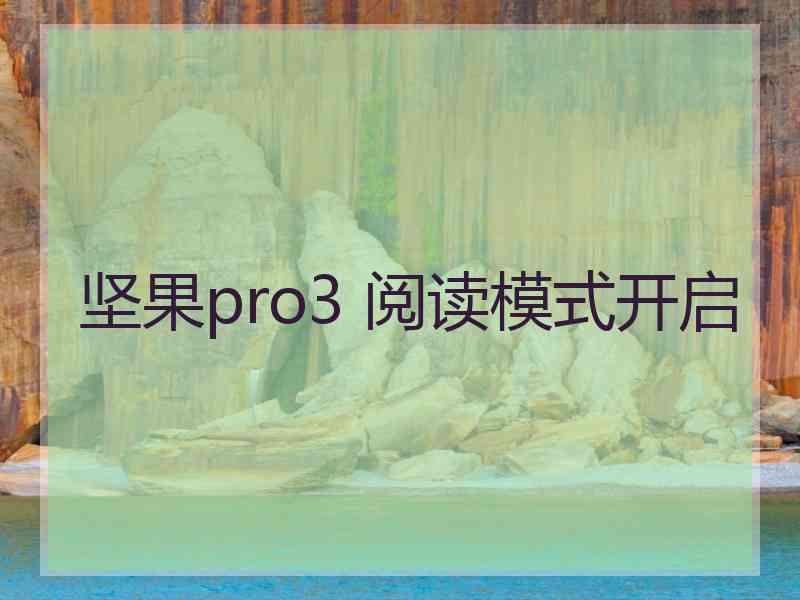 坚果pro3 阅读模式开启