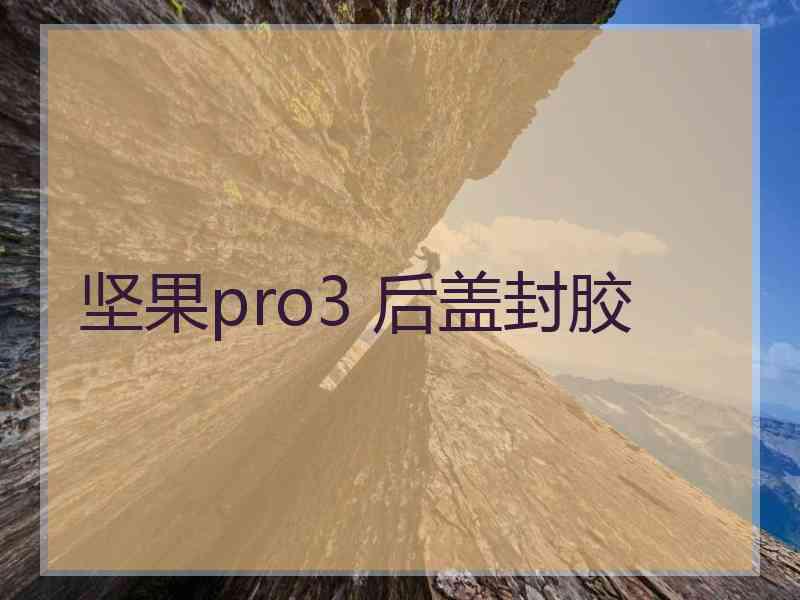 坚果pro3 后盖封胶