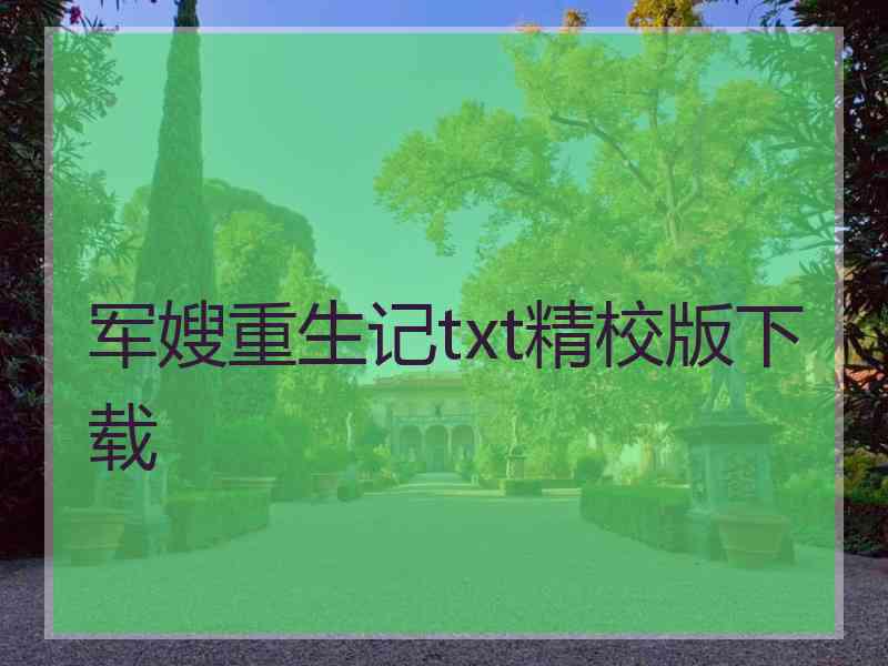 军嫂重生记txt精校版下载