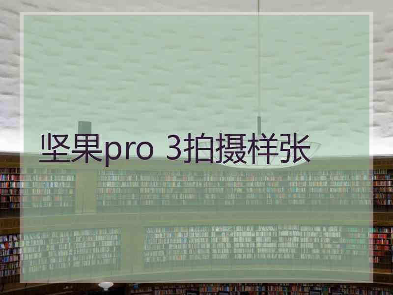 坚果pro 3拍摄样张