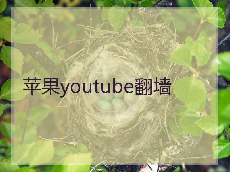 苹果youtube翻墙