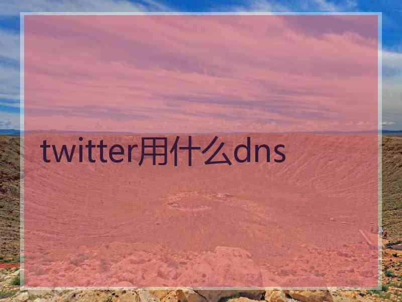 twitter用什么dns