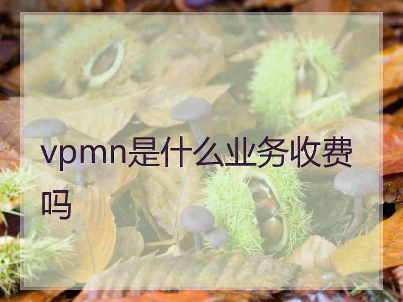 vpmn是什么业务收费吗