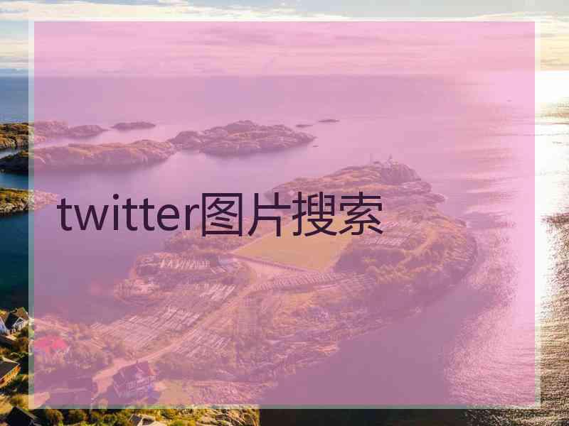 twitter图片搜索