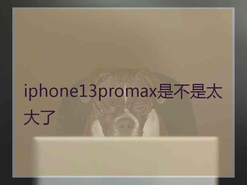 iphone13promax是不是太大了