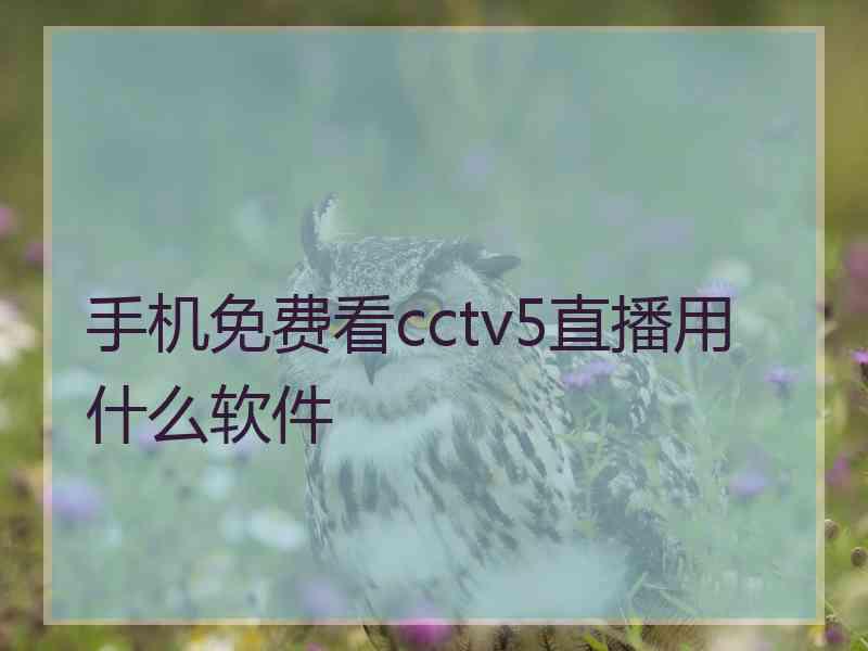 手机免费看cctv5直播用什么软件