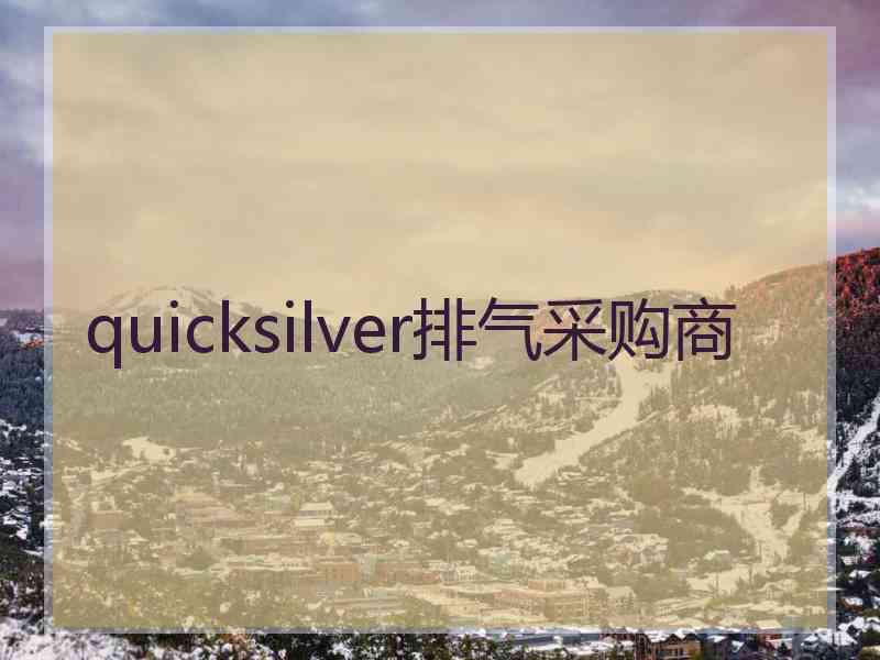 quicksilver排气采购商