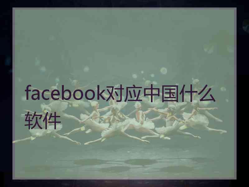 facebook对应中国什么软件