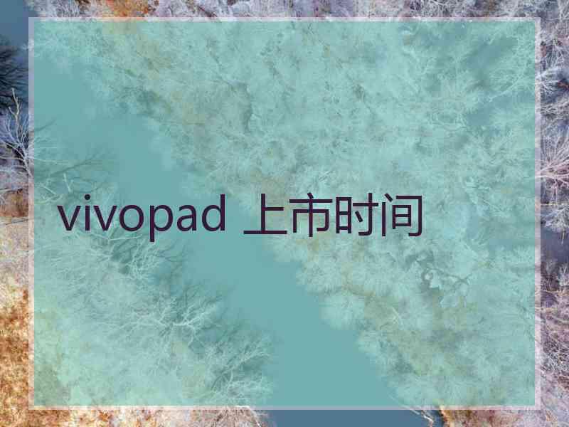 vivopad 上市时间