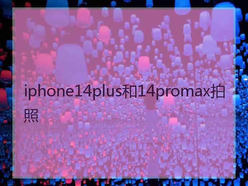 iphone14plus和14promax拍照