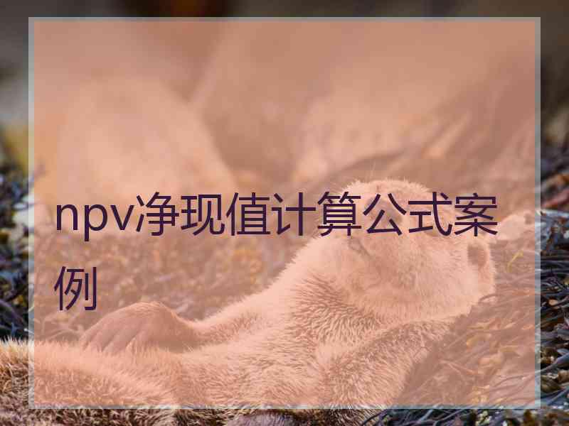 npv净现值计算公式案例