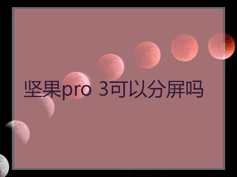 坚果pro 3可以分屏吗