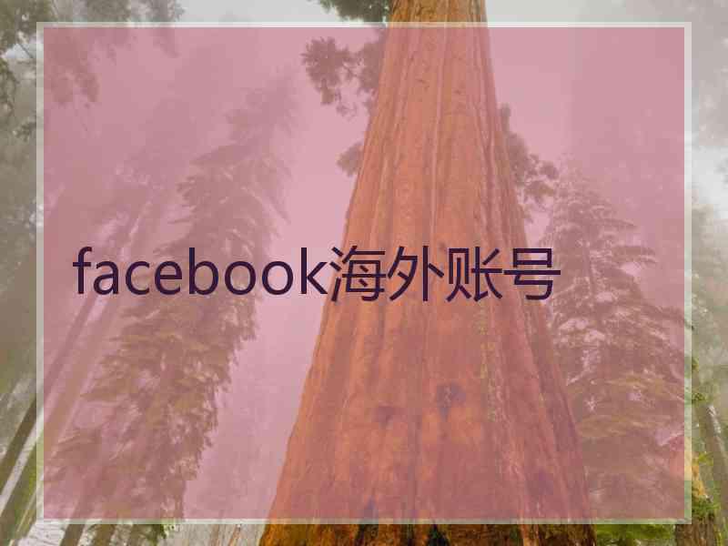 facebook海外账号